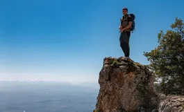 NATURALEZA / FORMULARIOS