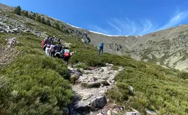 NATURALEZA / FORMULARIOS